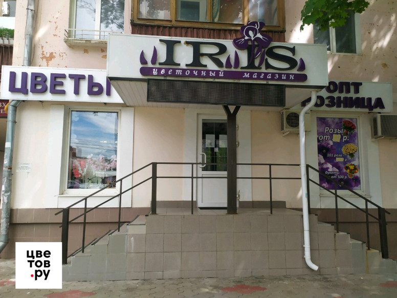 Ирис
