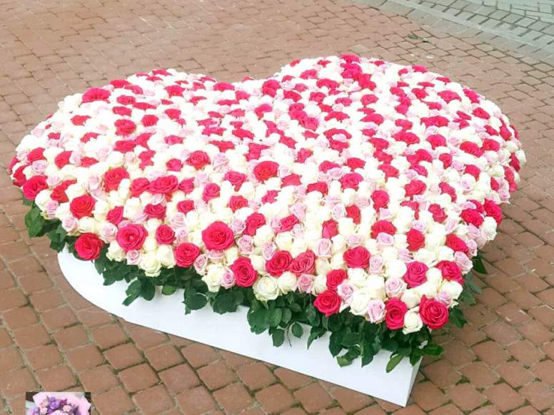 Fiesta Flowers
