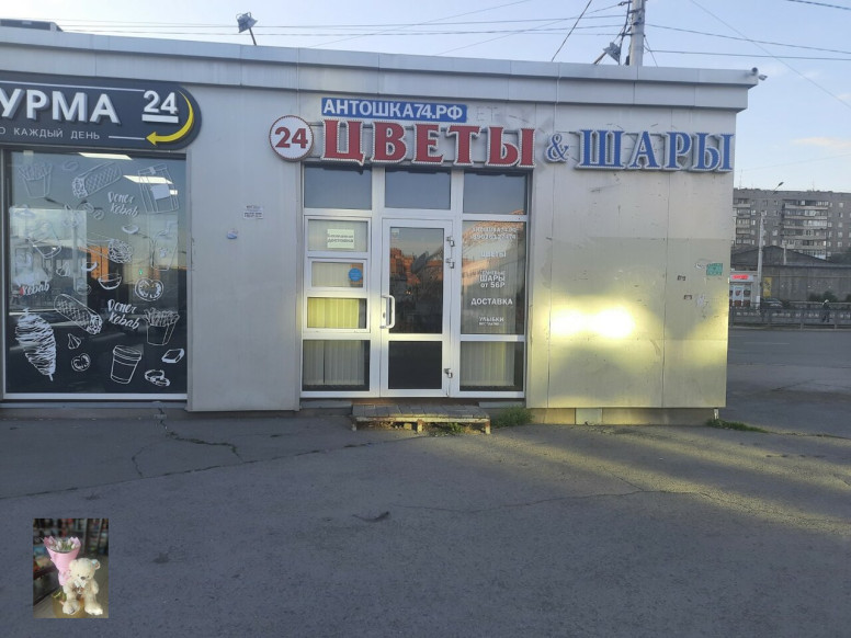 Антошка74.рф