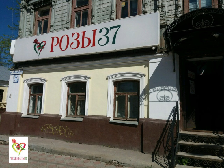 Розы37