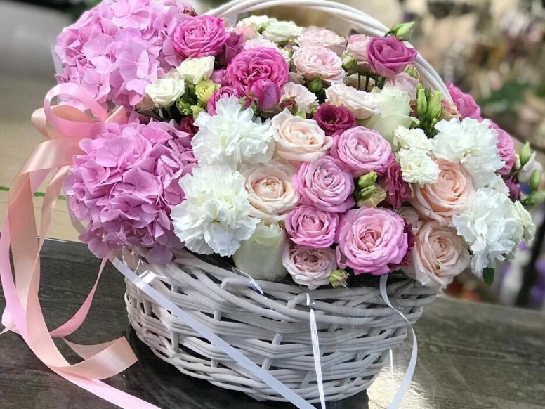Флокс