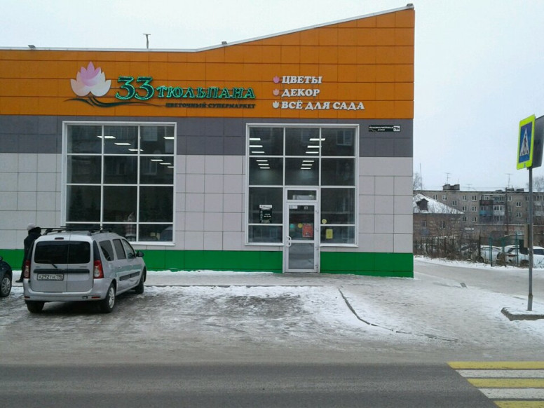 33 Тюльпана