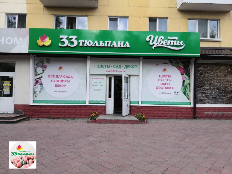 33 Тюльпана