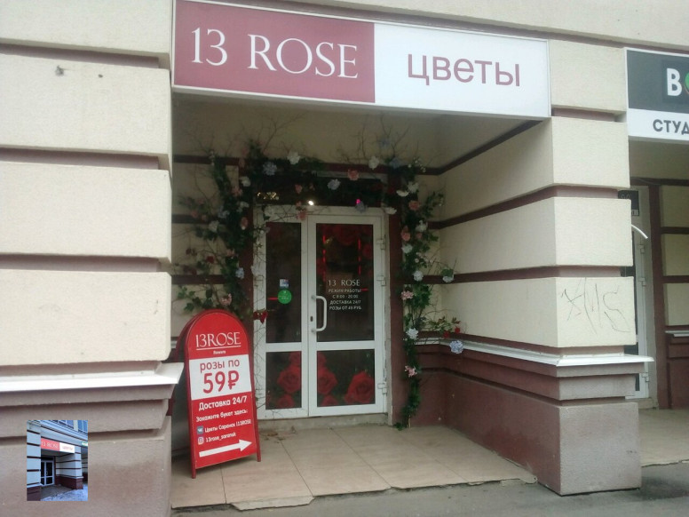 13 Rose