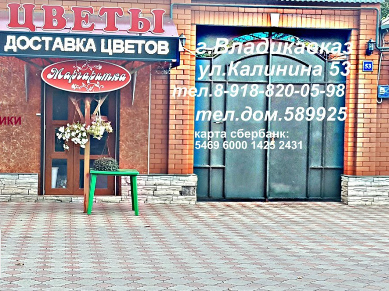 Маргаритка
