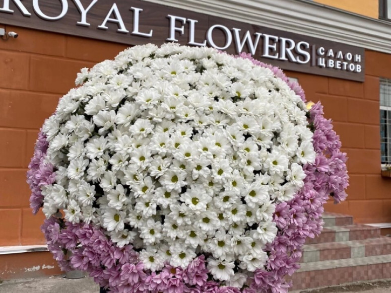 Royal Flowers
