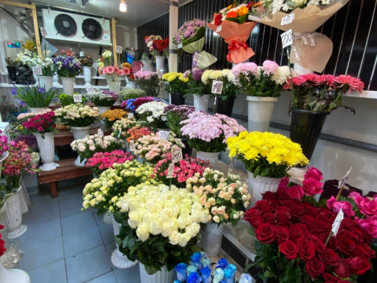 Флора
