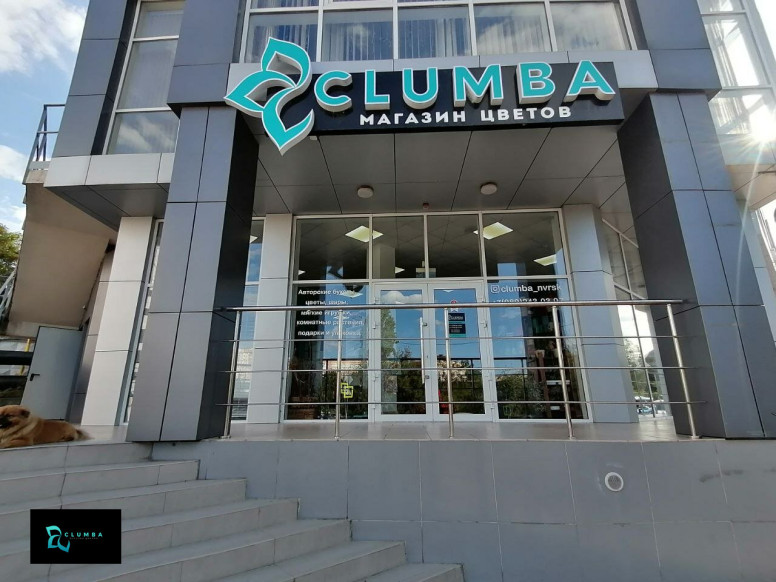 Клумба