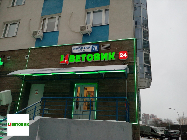 Цветовик