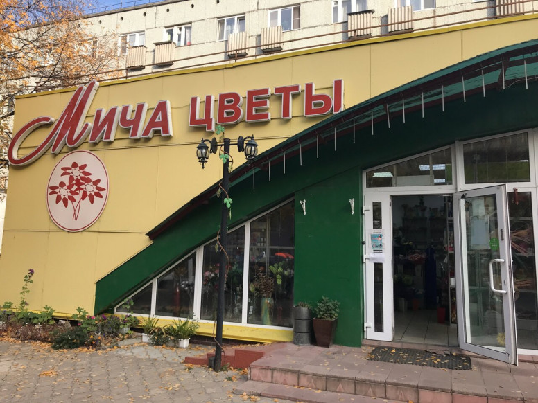 Мича