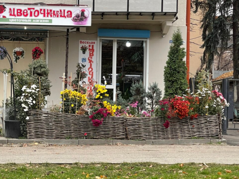 Цветочница Рузина