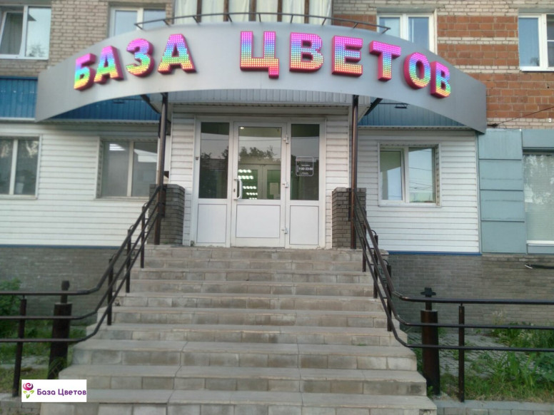 База Цветов