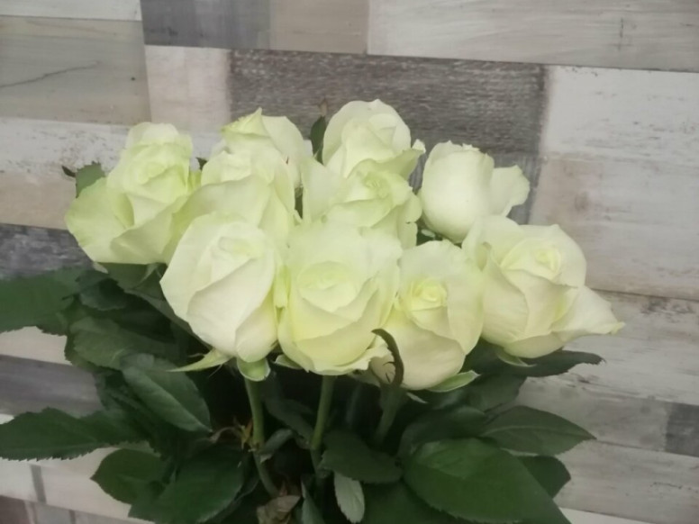 Мир Цветов