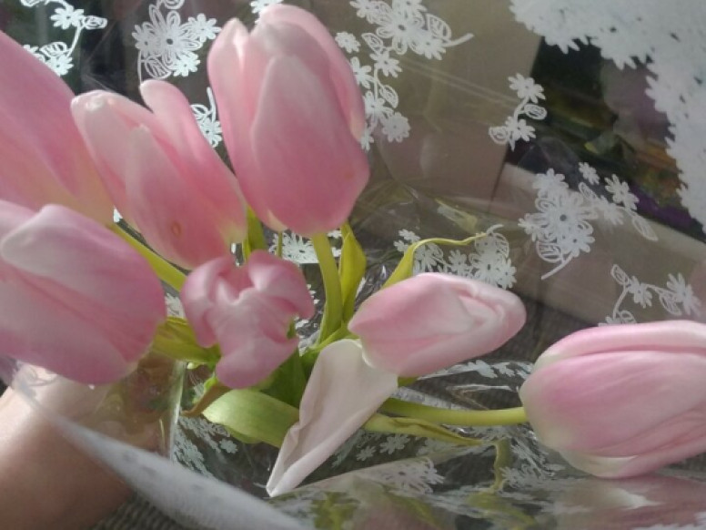 Candy Rose