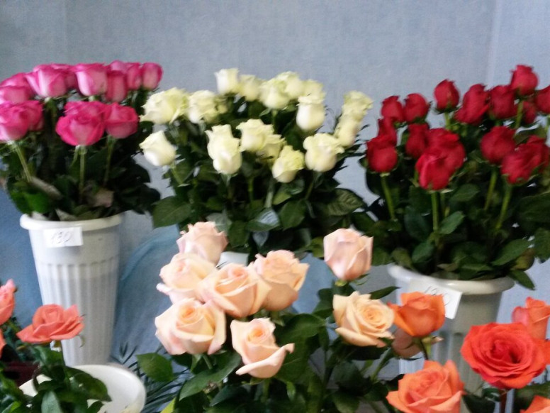 Цветы