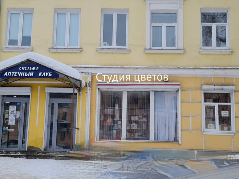 Гермини