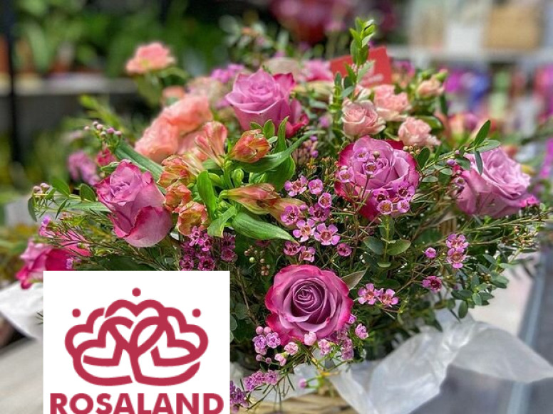 RosaLand