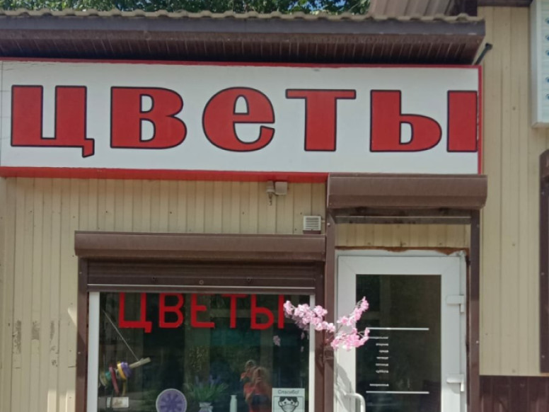 Цветы