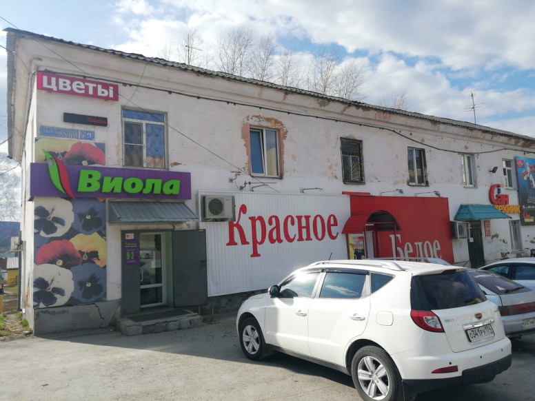 Виола