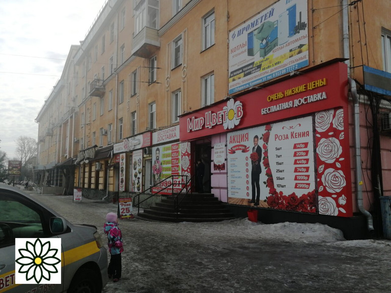 Мир цветов