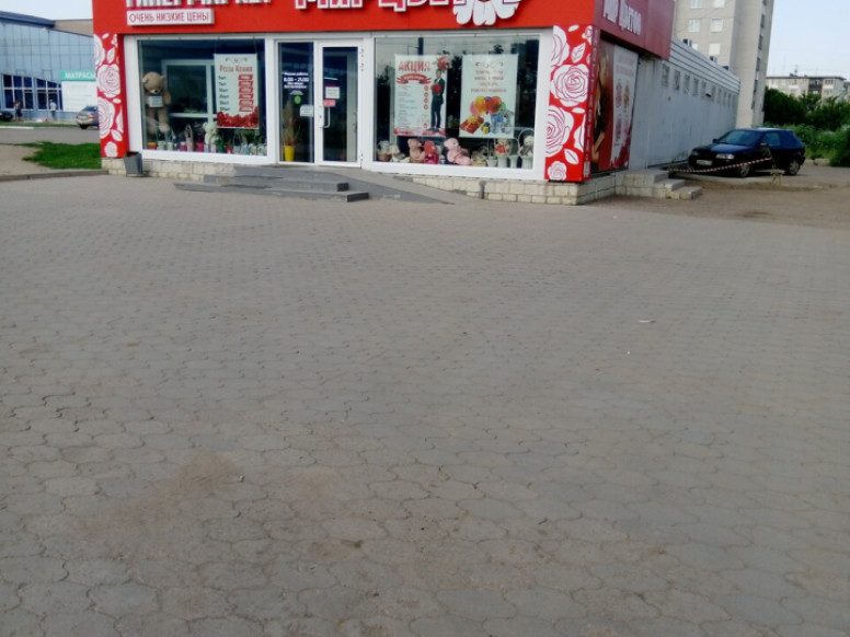 Мир цветов
