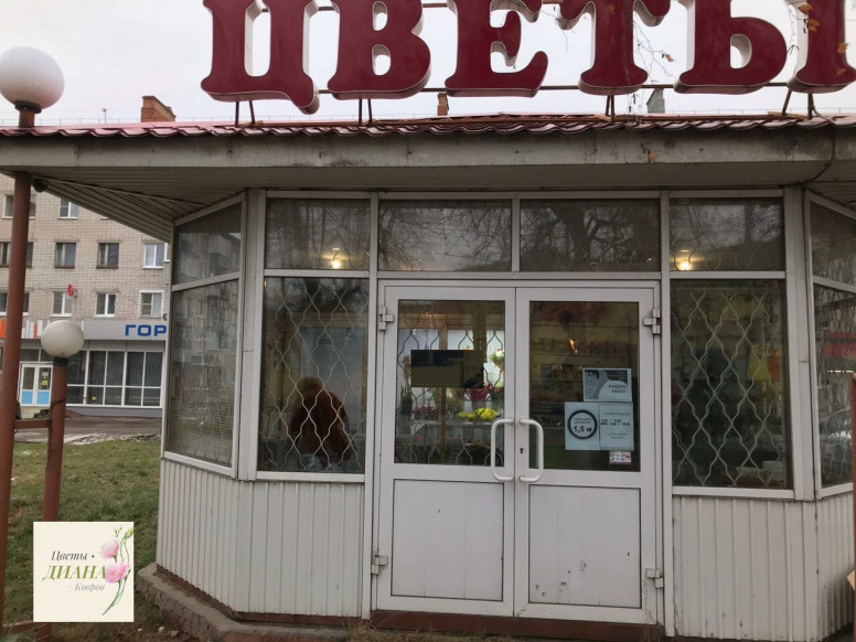 Диана
