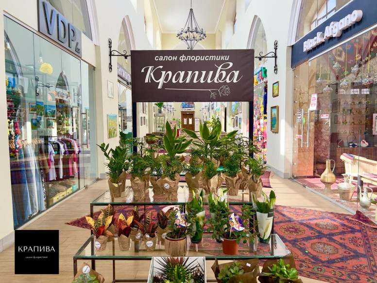 Салон флористики Крапива