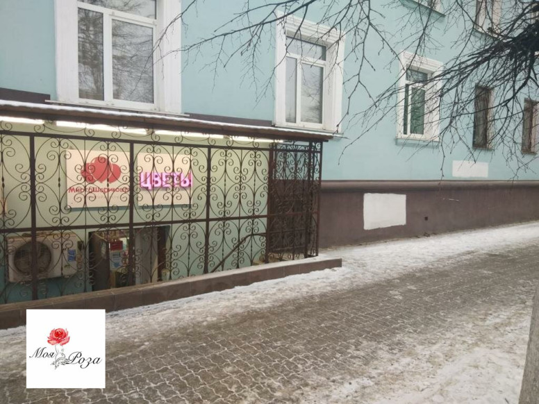 Моя роза