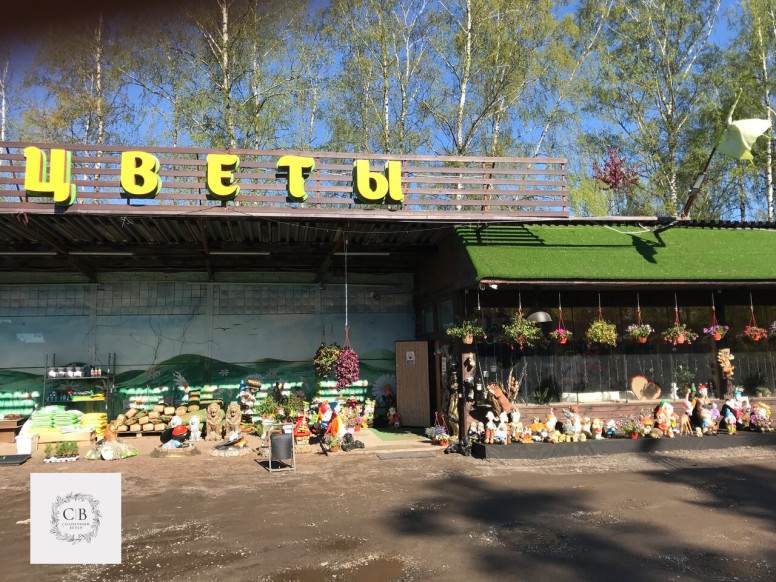Солнечный ветер