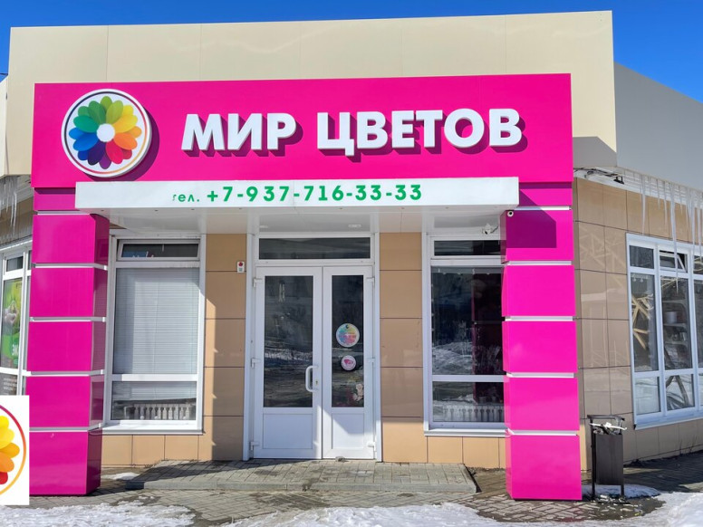 Мир Цветов