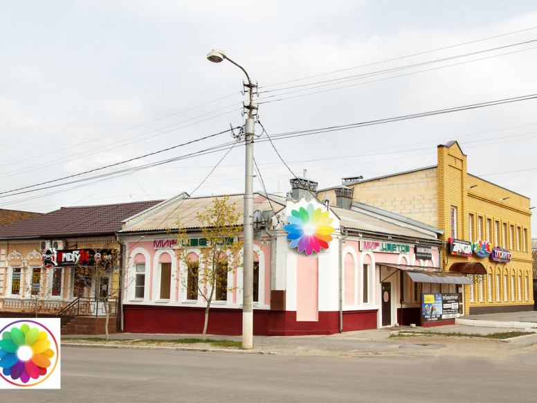 Мир Цветов