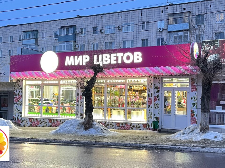 Мир Цветов