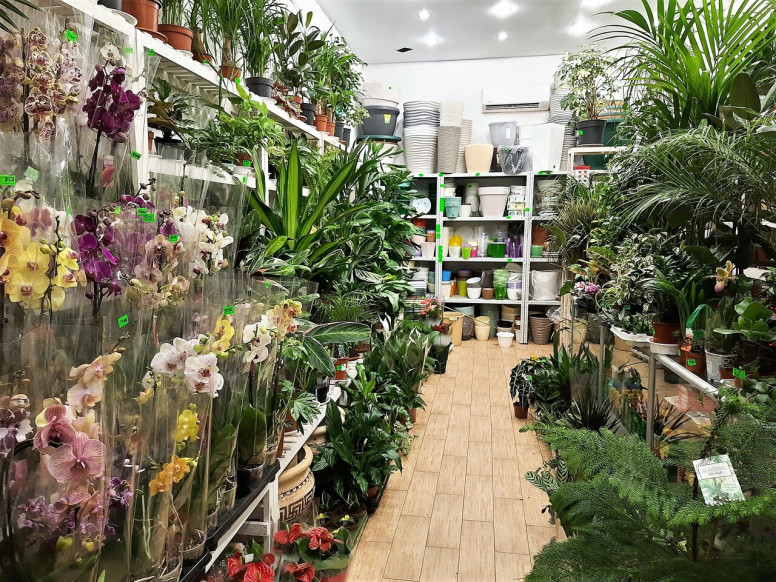 Флорина