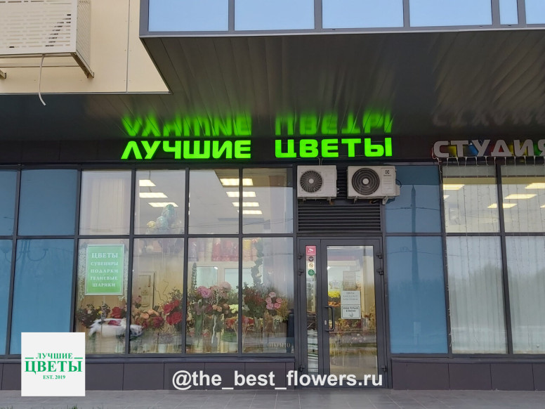 Лучшие Цветы