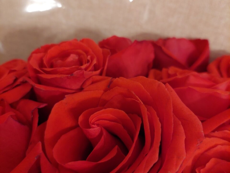 Buket Elista flowers