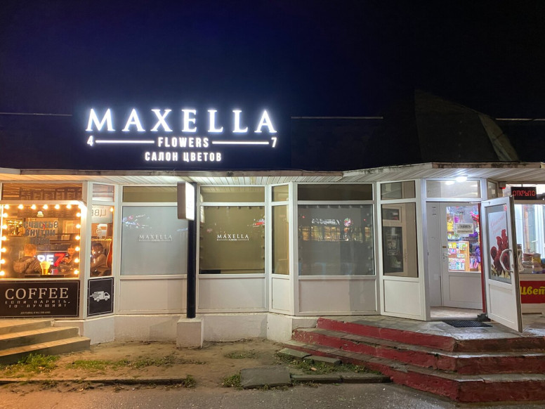 Maxella flowers
