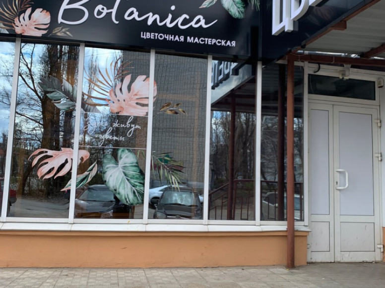 Botanica