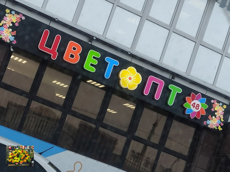 Цветопт48