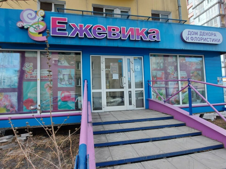 Ежевика